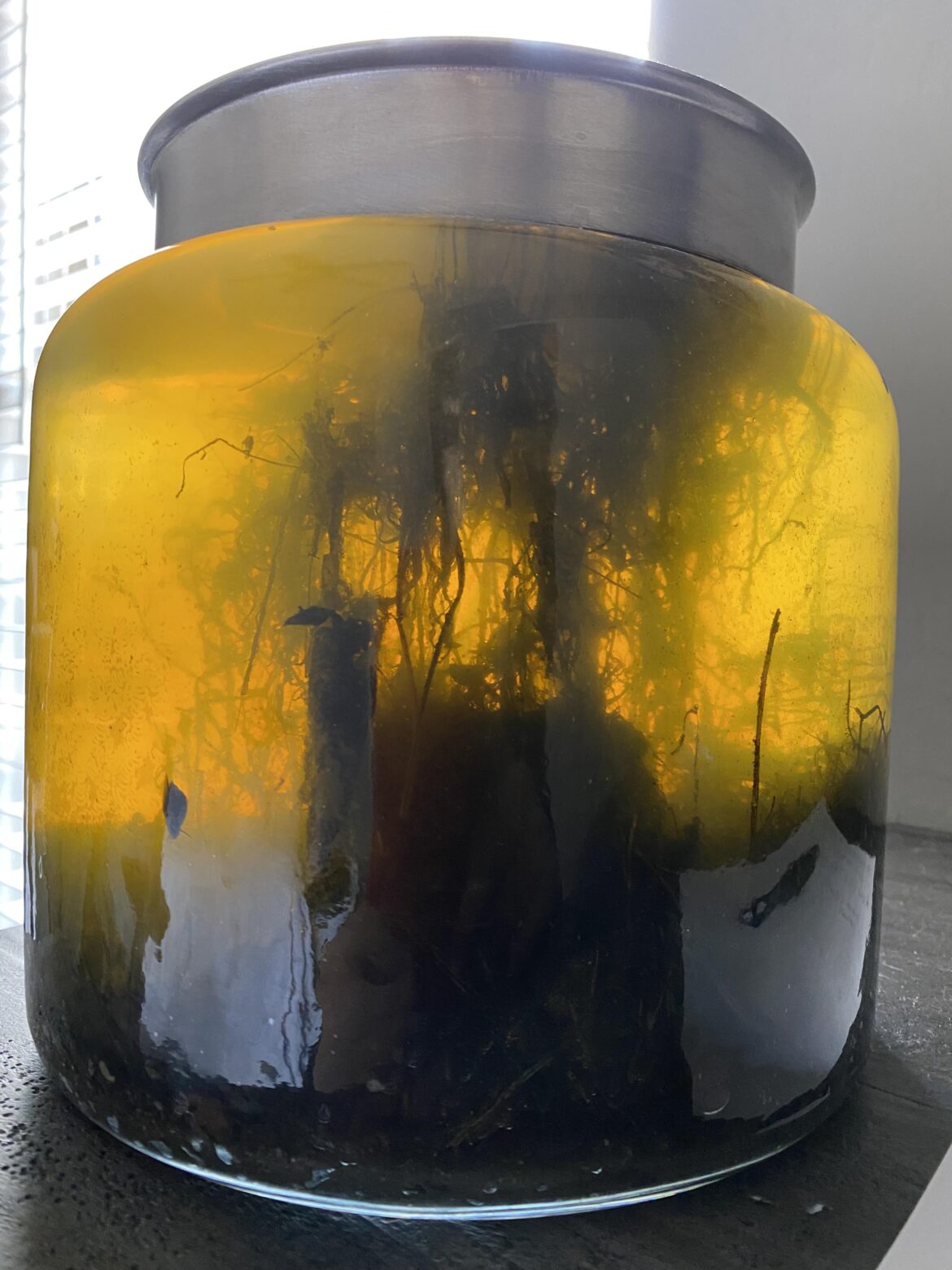 Salt River jar