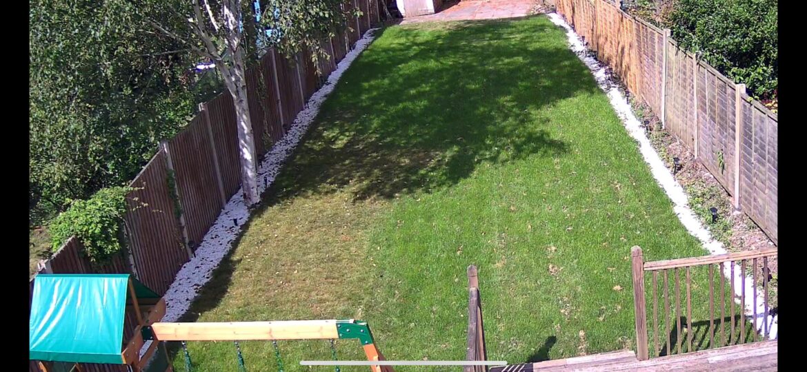Why is my lawn yellow