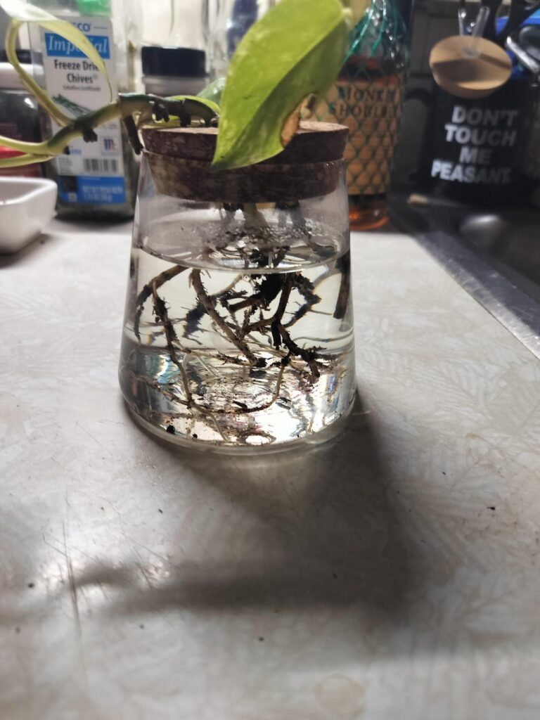 What could i add to this? What could i add to this?