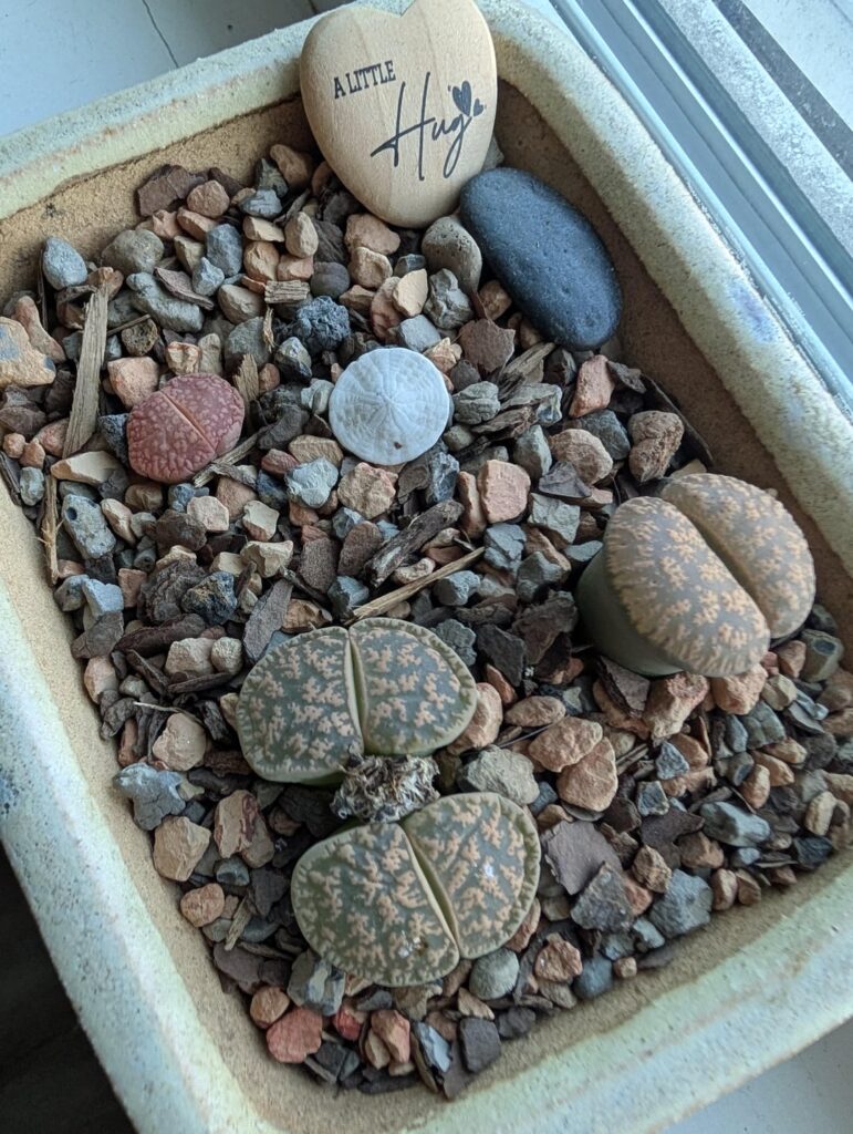 Time to water?