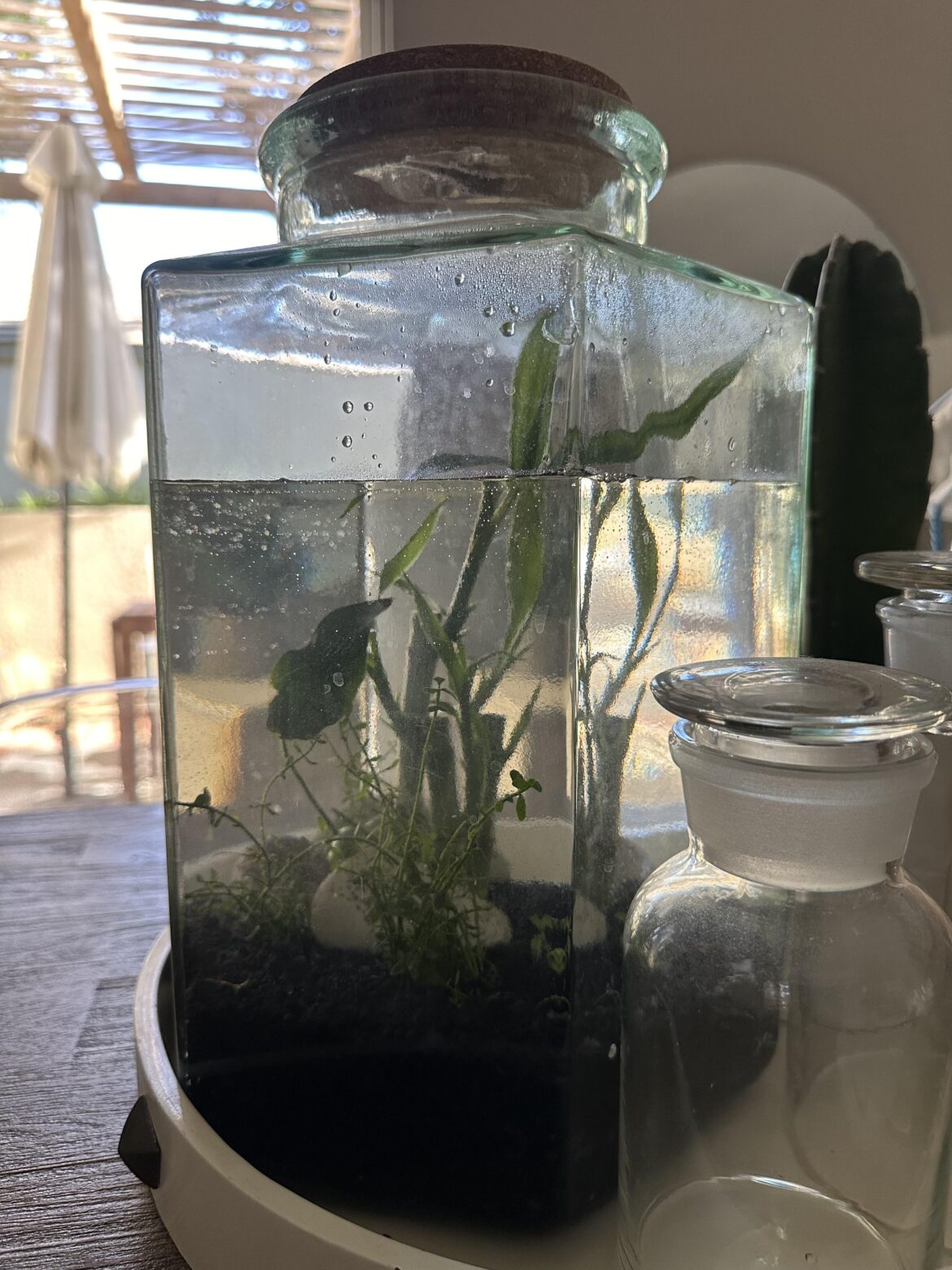 Question about winter…