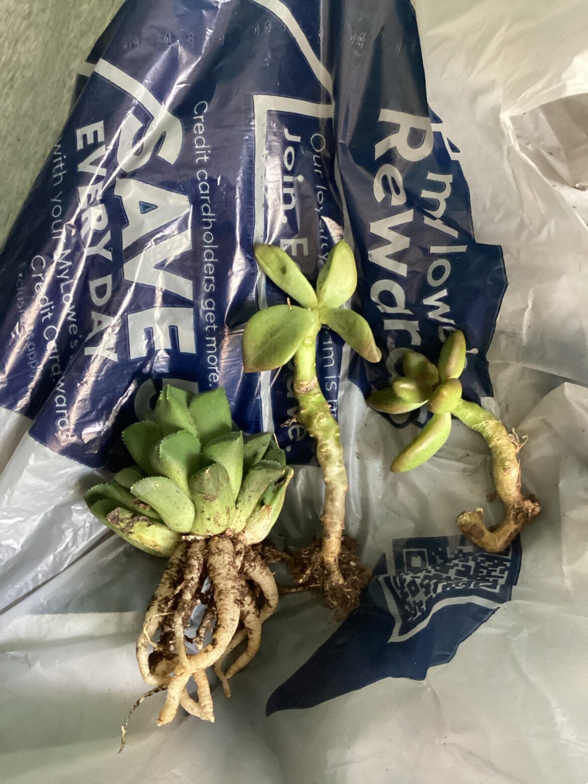 What are these (Home Depot)