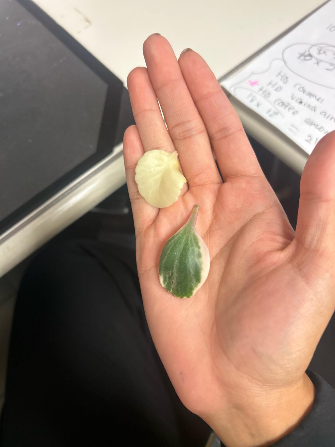 can i prop these?