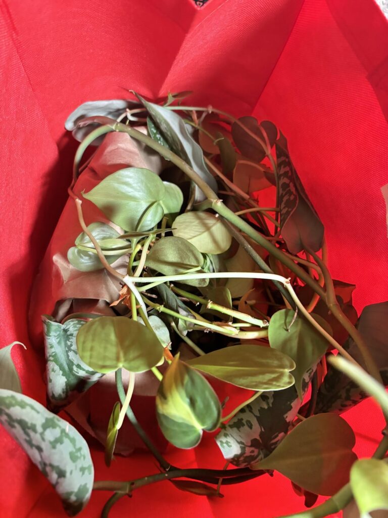Prop success!