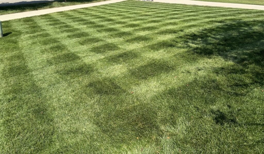 Freshly mowed