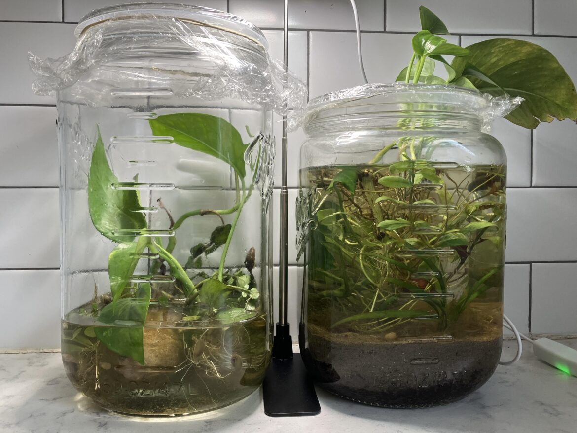 Ideas for more aesthetic way to keep critters in but still allow air and light? Ideas for more aesthetic way to keep critters in but still allow air and light?