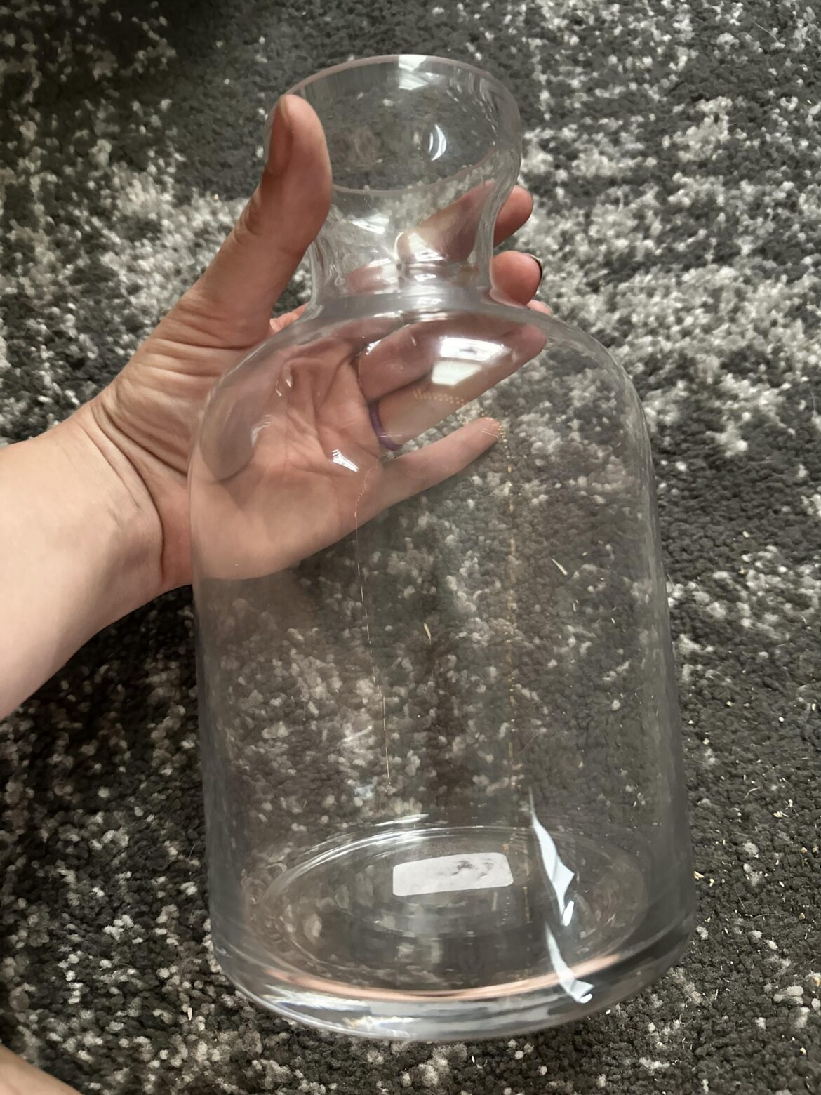 Always wanted a jarrarium but got a jar for my son’s bday tomorrow. Advice?