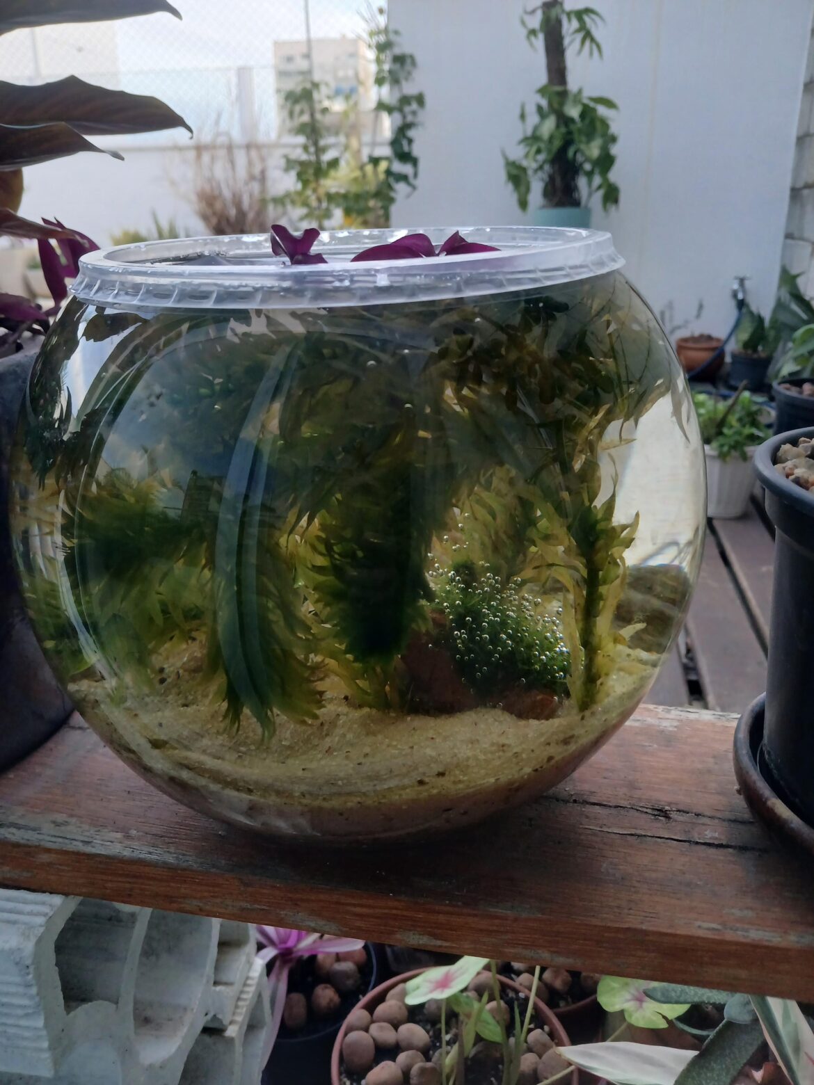 How to keep mosquitoes out? How to keep mosquitoes out?