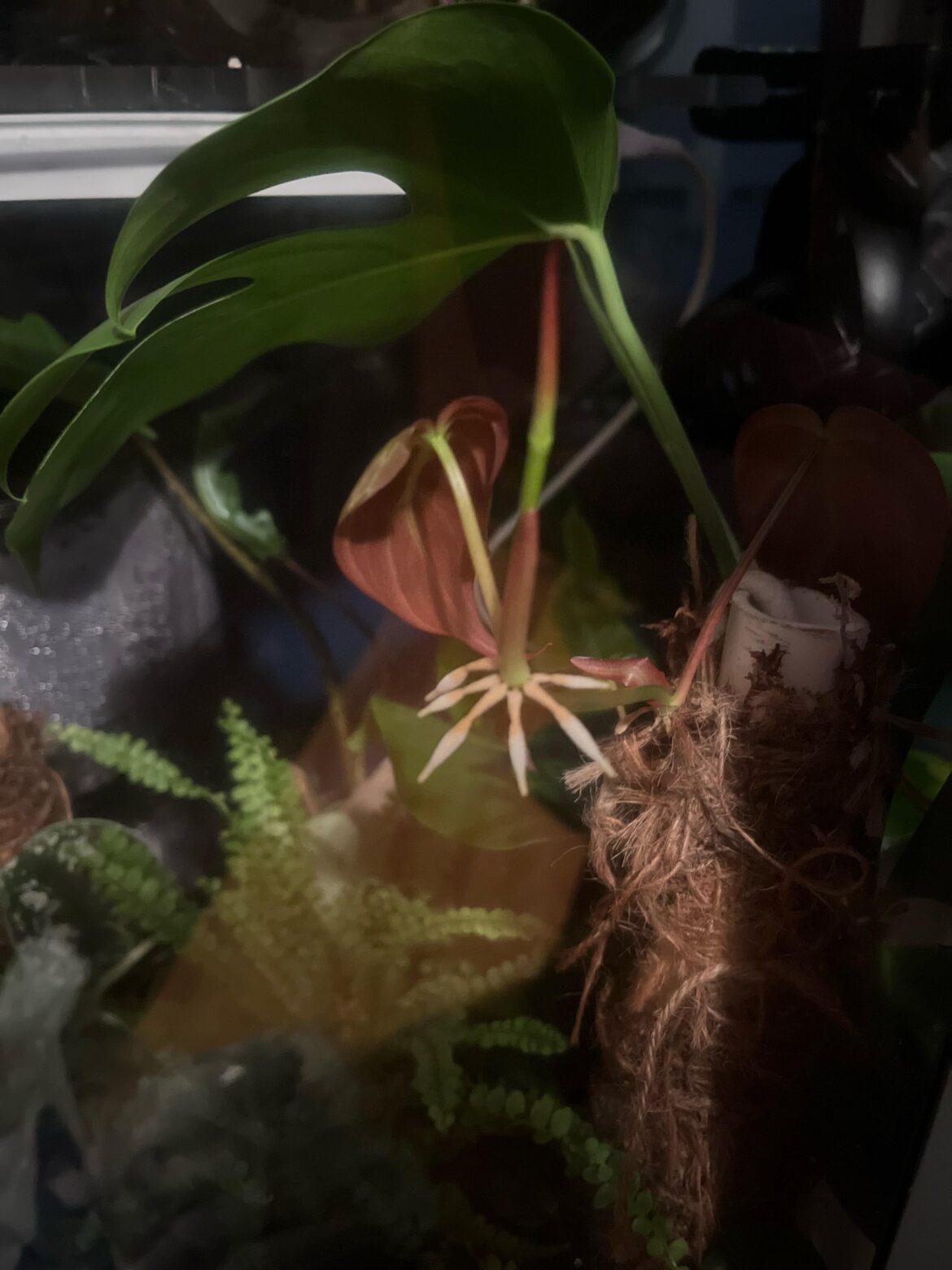 How to prop?