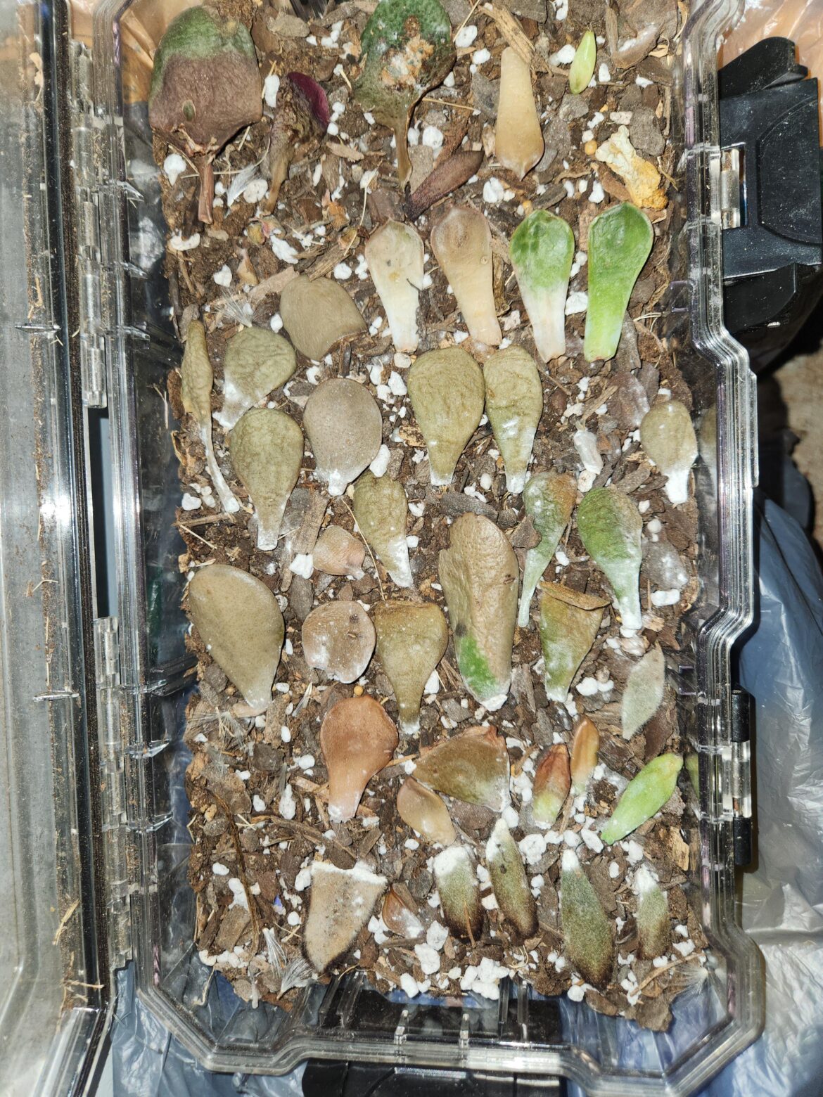 My prop box got left in the sun! Are they cooked?
