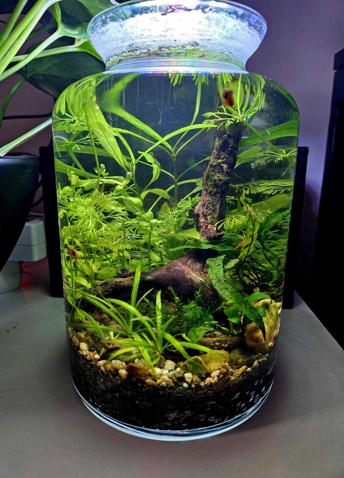 Update on my jar!