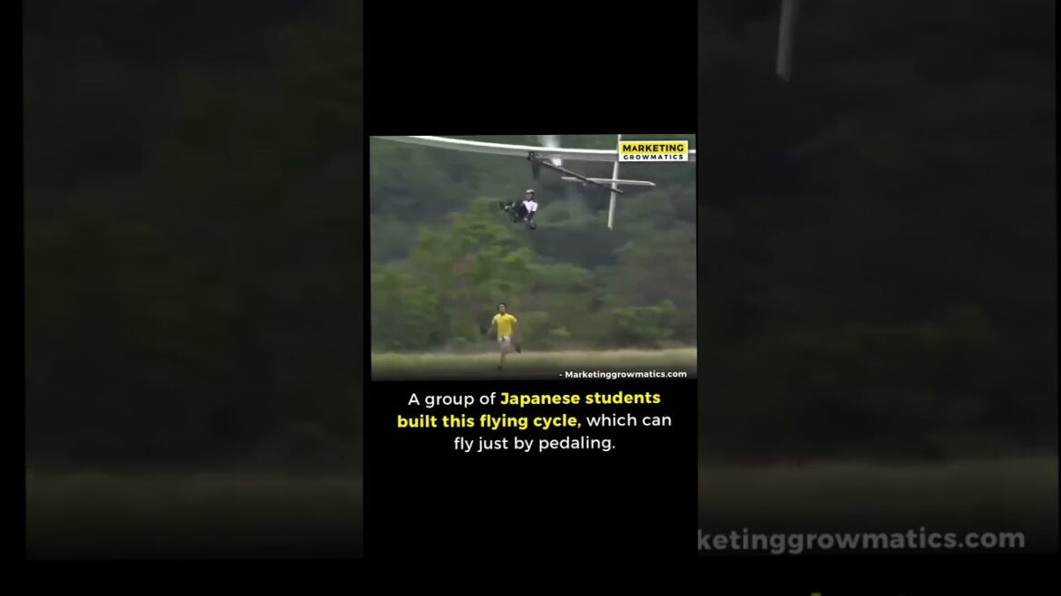 Ley american students: We are busy in finding our gender in transgender category😂😂 Ley american students: We are busy in finding our gender in transgender category😂😂
