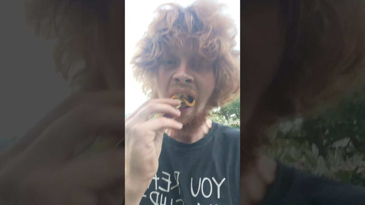 Edible garden flowers #1