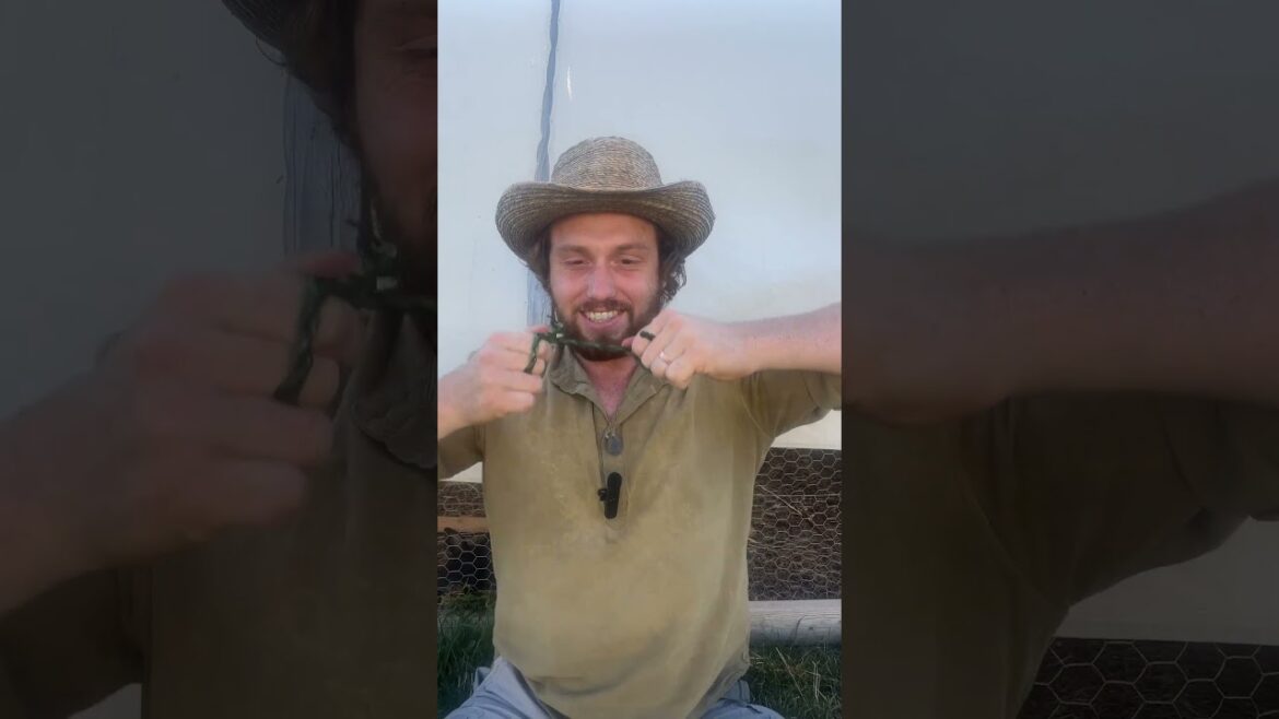 Basic Survival Skill: Rope from Plants