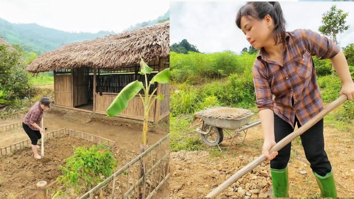 vegetable gardening and concrete for small kitchen | lý triệu vegetable gardening and concrete for small kitchen | lý triệu