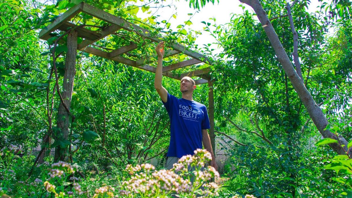 James Prigioni: I Broke the Rules and Planted 35 Different Edible Perennials in a Small Garden, Here’s What Happened I Broke the Rules and Planted 35 Different Edible Perennials in a Small Garden, Here's What Happened