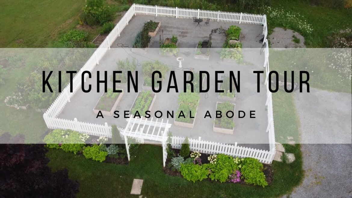 Kitchen Garden Tour, July Garden Tour, Garden Walkthrough, Zone 6 Gardening, No Till Gardening