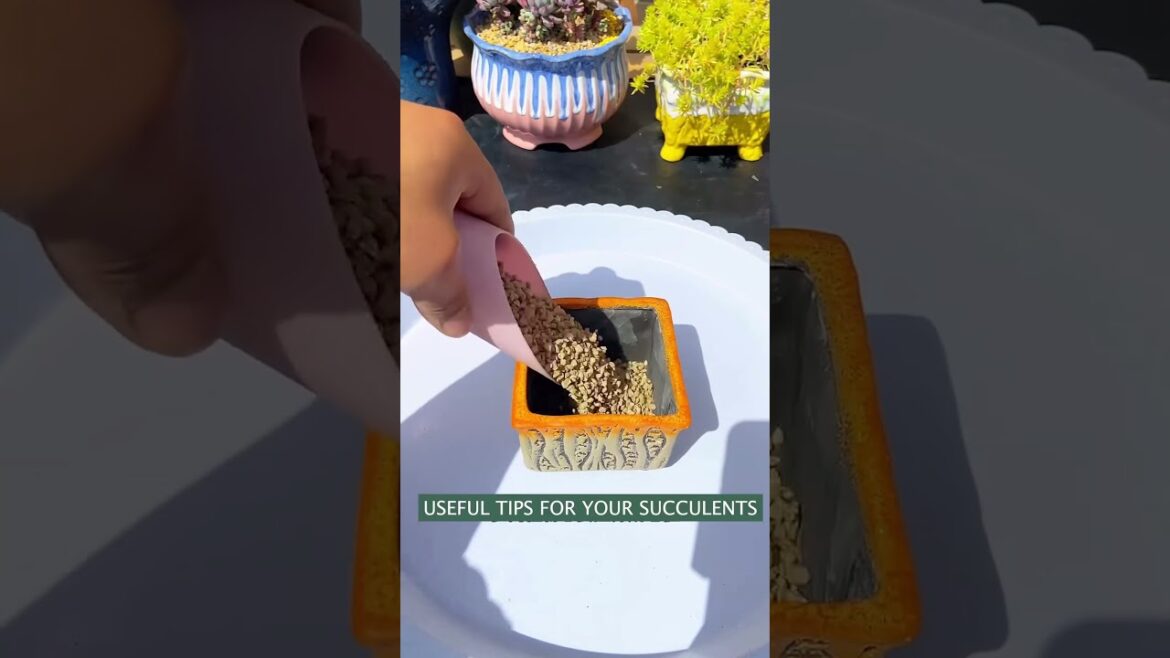 Nature’s Hottest Trends 🌿 Explore Trending Plants & Inspiring Garden Designs!