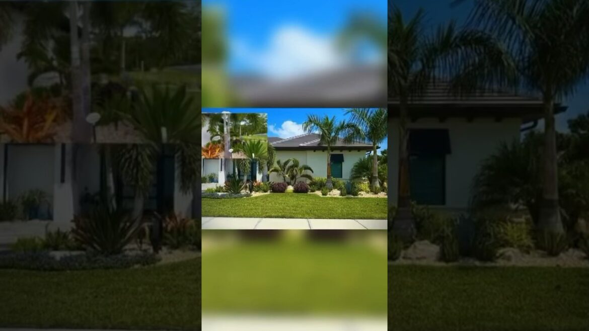 From problematic to PARADISE : The ultimate front yard landscape revival. From problematic to PARADISE : The ultimate front yard landscape revival.