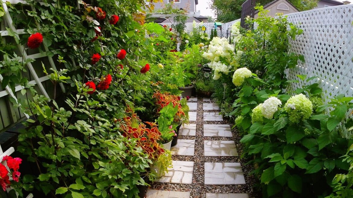 Plants and Flowers to Relax | Tiny Backyard Garden Tour #garden #gardening #plants #flowers #new Plants and Flowers to Relax | Tiny Backyard Garden Tour #garden #gardening #plants #flowers #new