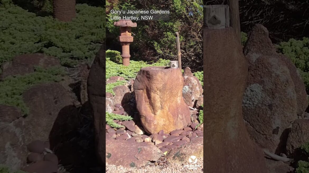 Immerse Yourself in the Serenity of Gory’u Japanese Gardens Immerse Yourself in the Serenity of Gory'u Japanese Gardens