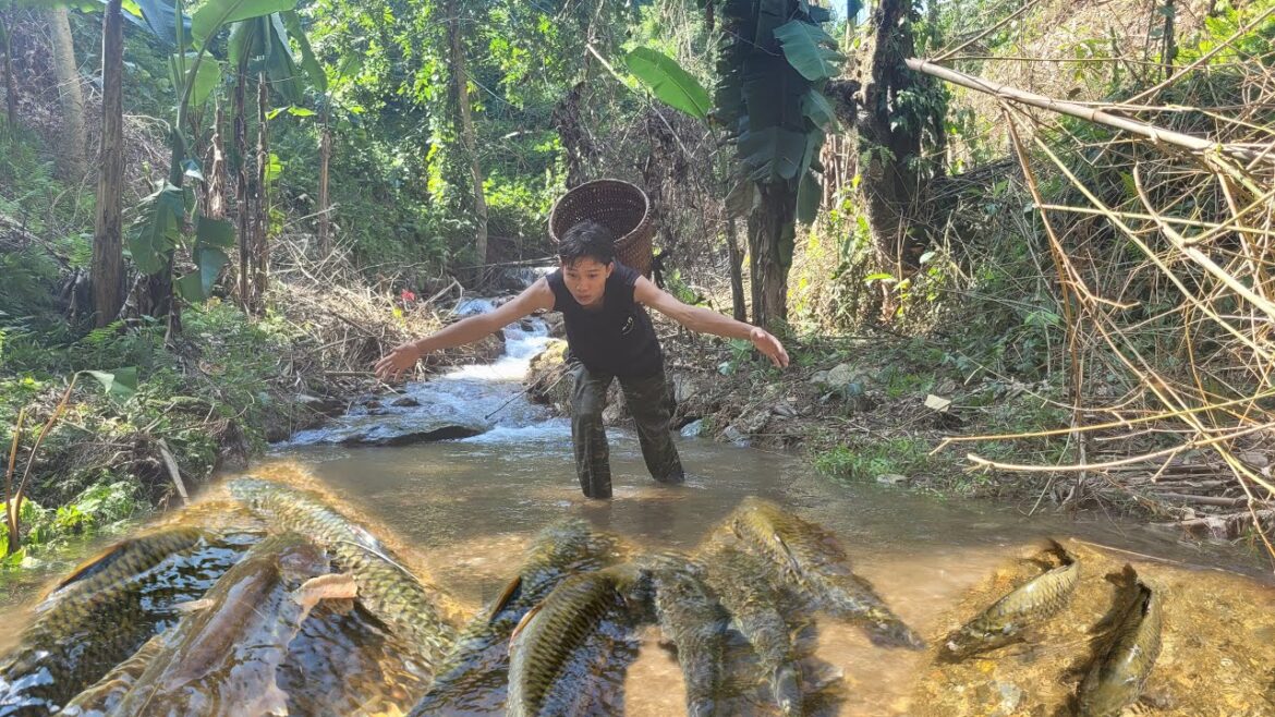 Vegetable Gardening - Skills to catch fish with bare hands to sell and buy vegetable seeds to plant