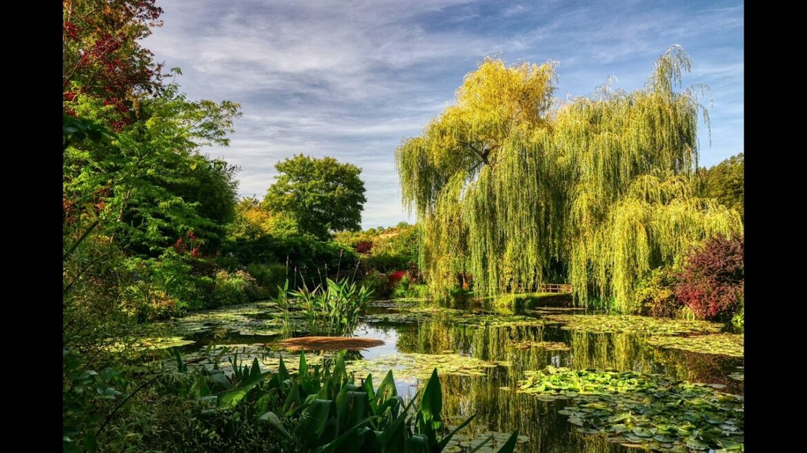Monet’s Beautiful Garden At Giverny Monet's Beautiful Garden At Giverny
