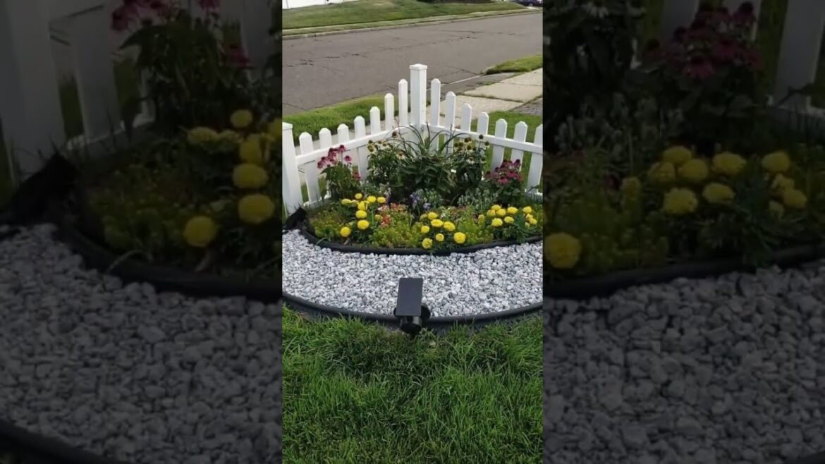 landscaping, frontyard and backyard garden decor ideas #youtube #shorts