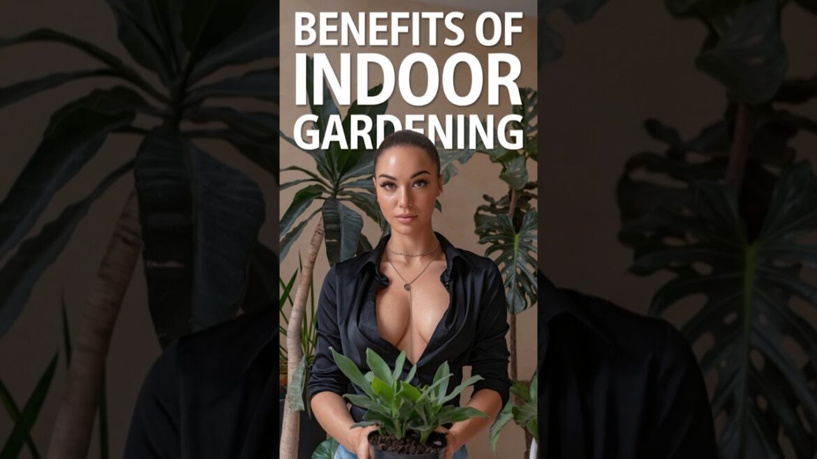 🌱Benifits of indoor gardening, 🌿 #IndoorGardening #HousePlants #HousePlanting #Plants #indoorplants 🌱Benifits of indoor gardening, 🌿 #IndoorGardening #HousePlants #HousePlanting #Plants #indoorplants