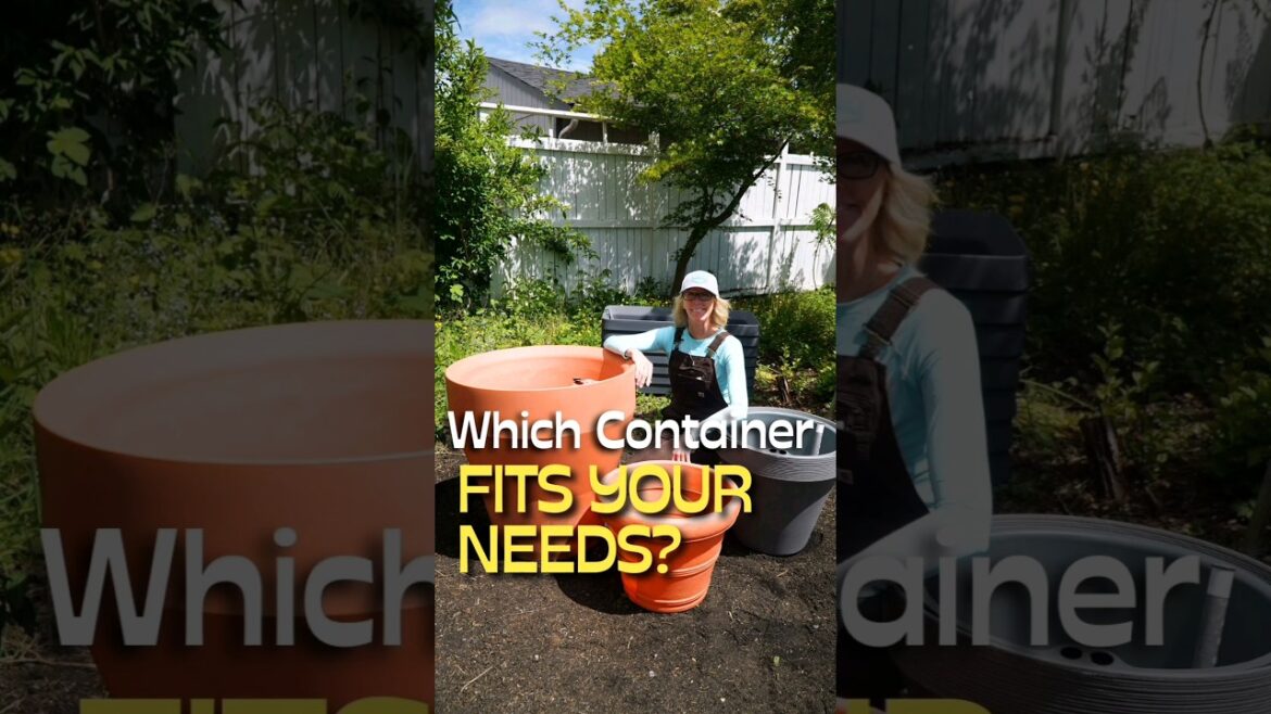 Is This the Easiest Way to Water Your Plants? #shorts #garden #containers Is This the Easiest Way to Water Your Plants? #shorts #garden #containers