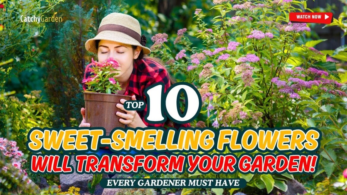 πΌ TOP 10 SWEET-SMELLING FLOWERS Will TRANSFORM Your Garden! ππΈβ¨π· // Gardening Ideas πΌ TOP 10 SWEET-SMELLING FLOWERS Will TRANSFORM Your Garden! ππΈβ¨π· // Gardening Ideas
