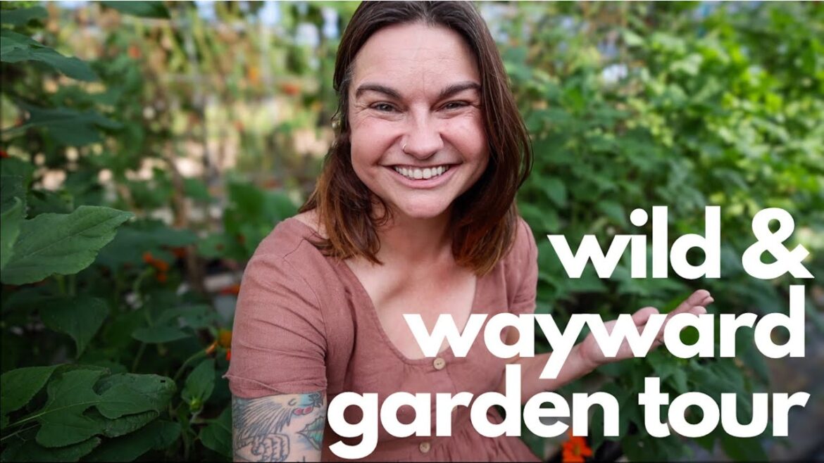 End of Season Garden Tour (It's a beautiful MESS!)