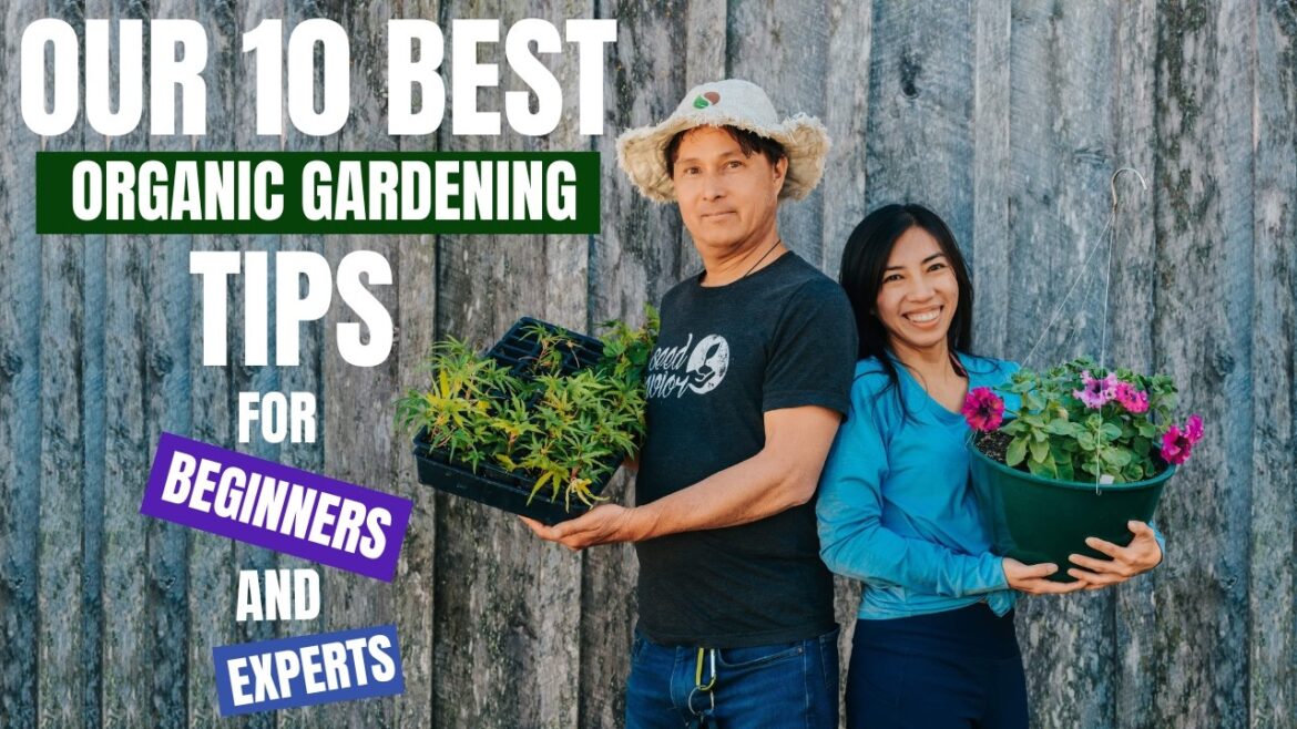 10 Organic Gardening Tips: 5 for Beginners & 5 Advanced Techniques