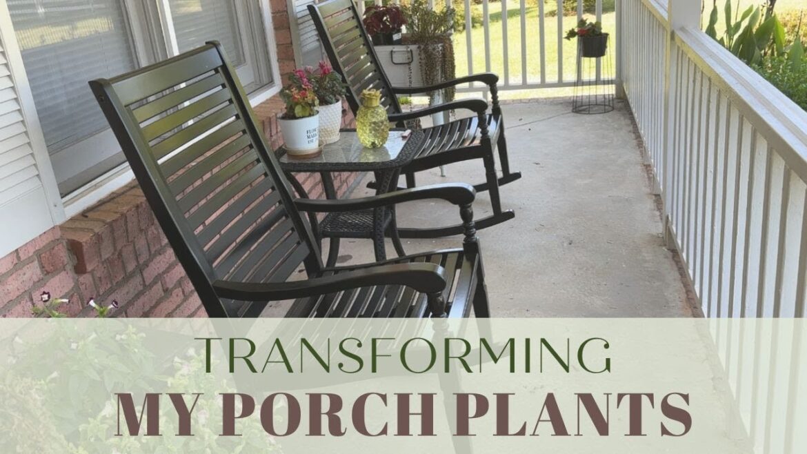From Neglect to Bloom: Transforming My Porch Plants 🌼