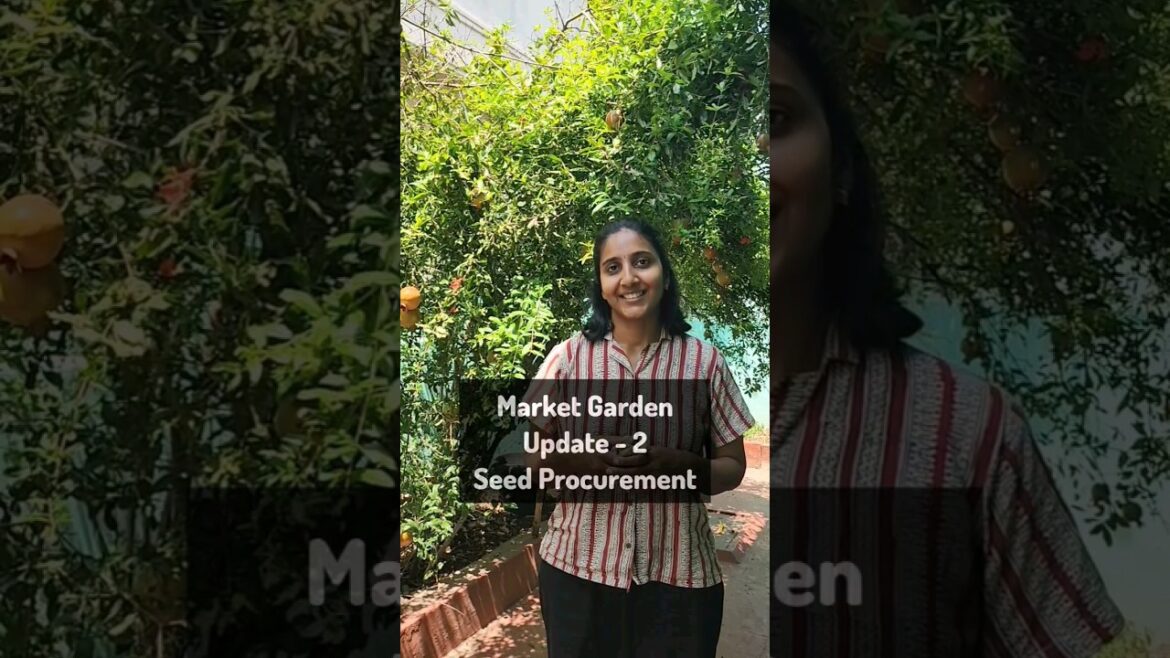 Ginger seed procurement for organic vegetable cultivation.