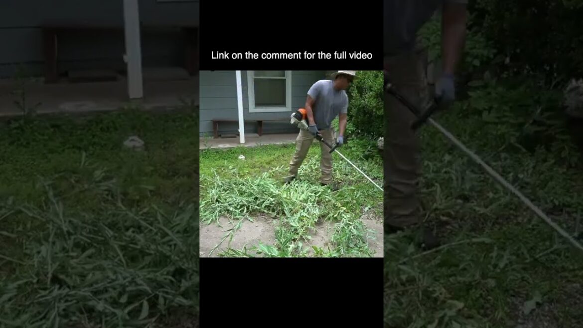 This Home owner in MILITARY had to SERVE his COUNTRY, so I took care of his OVERGROWN yard  #shorts