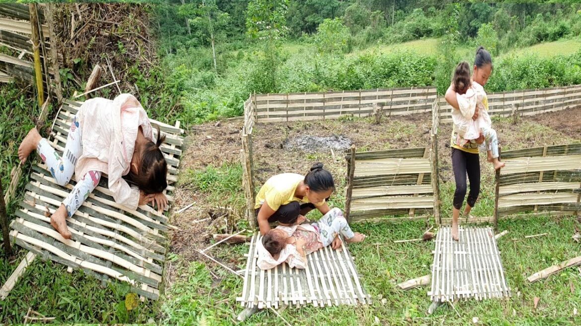 Single mother: Picking zucchini to sell at the market - Vegetable gardening, Cooking | Ly Binh Binh