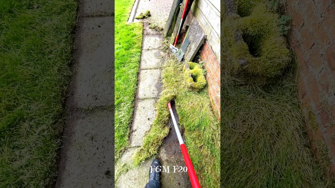 Running out of lawnedging here now || #youtubeshorts #ytshorts #trending #shorts #ytshorts #viral