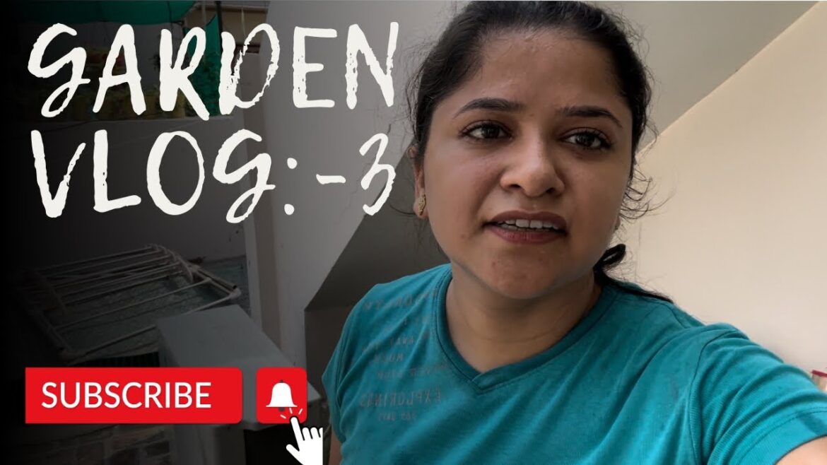 Vlog:-3,My Garden Update :-क्या चल रहा है आज कल टेरेस पर Vlog:-3,My Garden Update :-क्या चल रहा है आज कल टेरेस पर