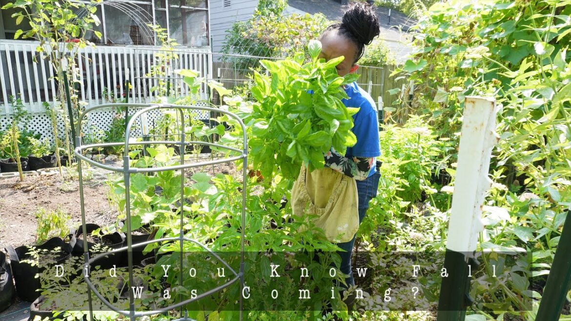 How I Prepare My Urban Homestead For Fall | Reorganizing The Garden | Pulling Healthy Plants