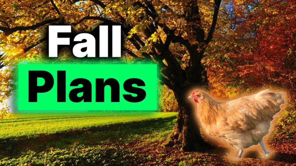 The Fall Plans For The Farm...