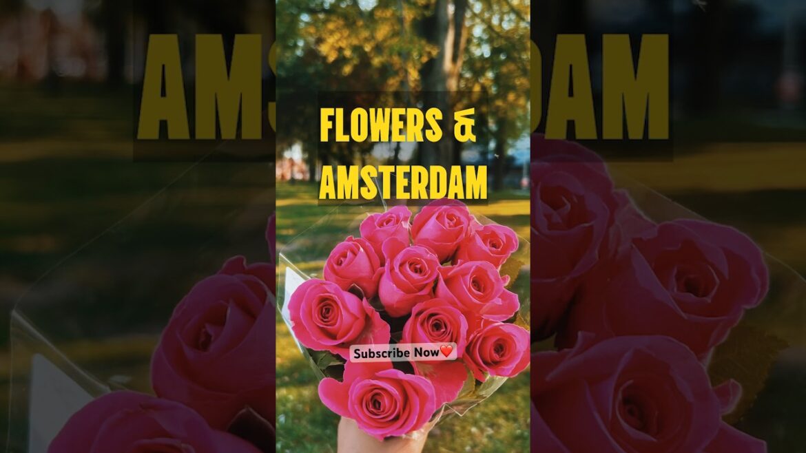 🌸Gift Yourself🌸#travel #selflove #yt #shortsviral #trending #trendingreels #trendingnews #trends