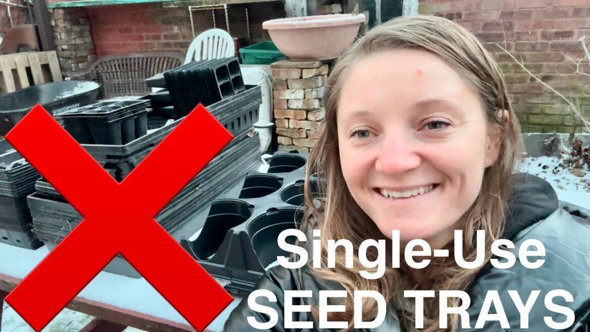 Best Gardening Supplies: Reusable Seed Trays – Part 1 Best Gardening Supplies: Reusable Seed Trays - Part 1