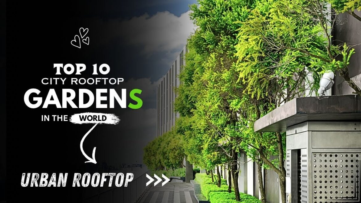 Top 10 Beautiful Urban Rooftop Gardens | On the Earth | architecture | beauty