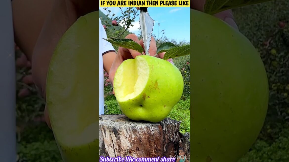 🍉 Unbelievable Fruit Cutting Skills That Will WOW You! 🍍🍓"|#shorts #freshfruits #doremonfruits