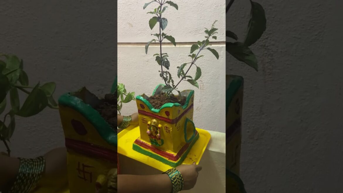 When nature encourages you to do gardening #shorts #plants #gardeningtips