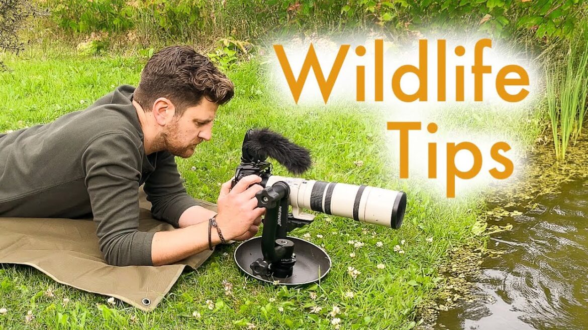 Filming at my Wildlife Pond! Garden tips & gear