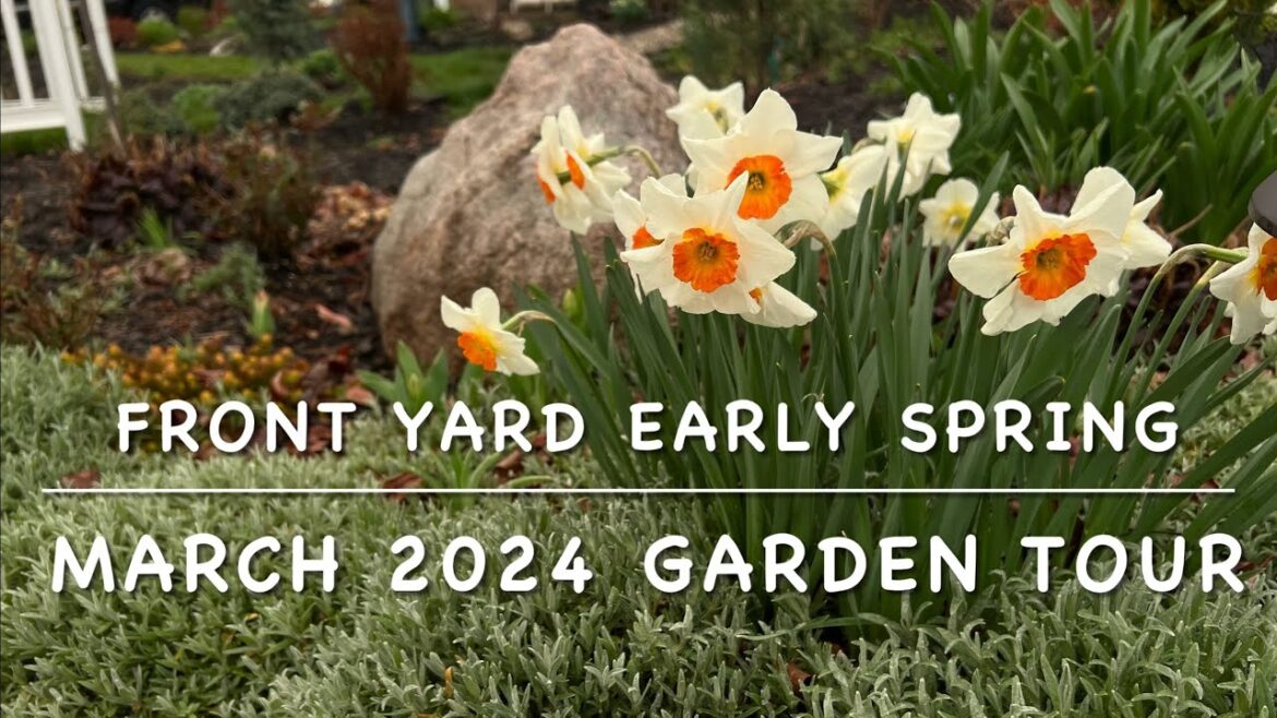 Early Spring Front Yard Garden Tour for March 2024 Ohio Zone 6
