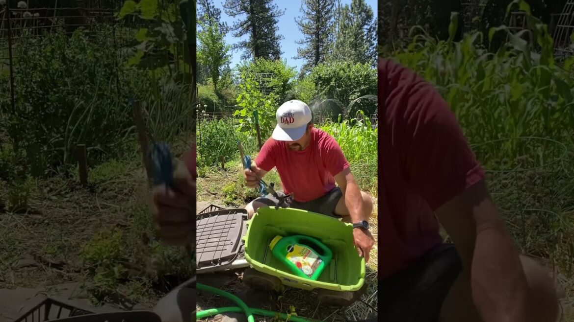 Make Gardening Easier With This Rolling Garden Scooter & Storage Cart! Make Gardening Easier With This Rolling Garden Scooter & Storage Cart!