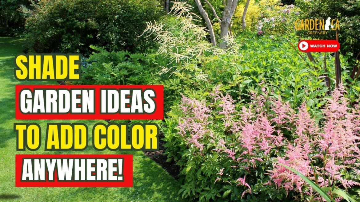 🌺 TOP 8 MIND-BLOWING Shade Garden Designs IDEAS to ADD COLOR Anywhere! 🎨🌿 Garden Answer